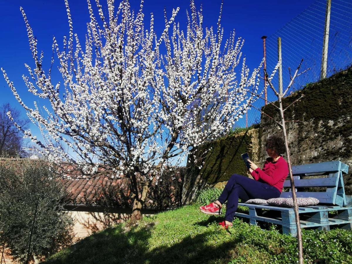 Casa Graziella- appartamenti vacanze Portacomaro Esterno foto